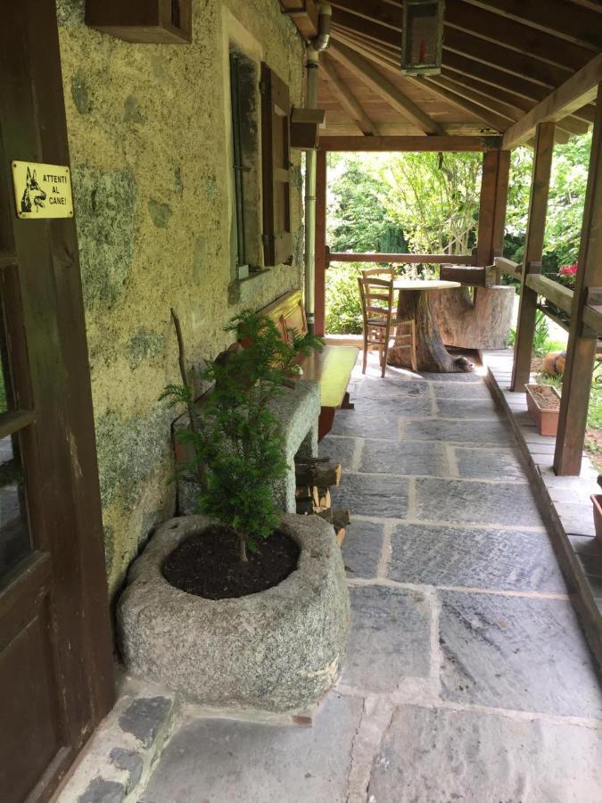 נסו Reginaldo'S Home מראה חיצוני תמונה